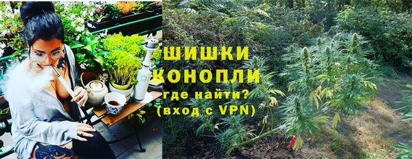 хмурый Богородск