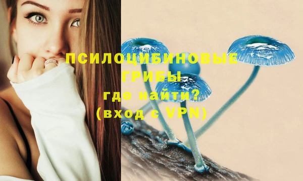 герыч Богородицк