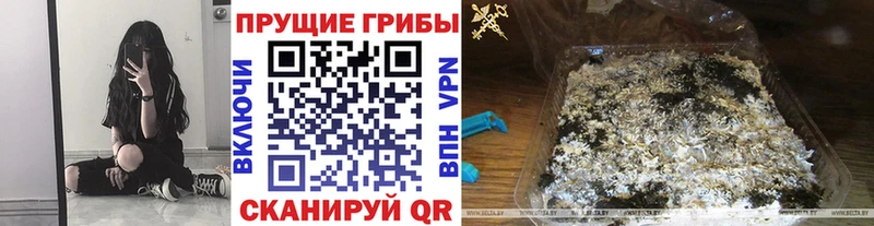 Псилоцибиновые грибы MAGIC MUSHROOMS  МЕГА зеркало  Сретенск 