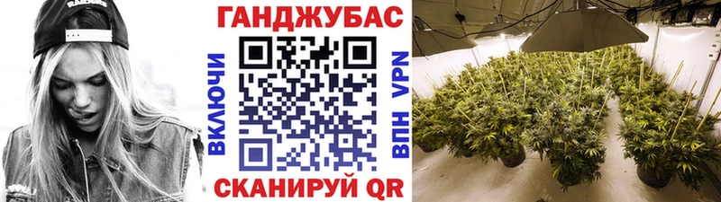 это наркотические препараты  купить наркоту  Сретенск  Каннабис семена 